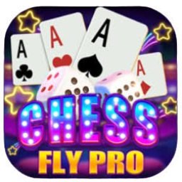 FlyCess Pro